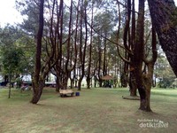 Perjalanan dari gerbang utama sampai ke pintu masuk Gua Lawa yang lumayan jauh menjadi tidak berasa capek karena suasana sekitarnya yang sejuk Perjalanan dari gerbang utama sampai ke pintu masuk Gua Lawa yang lumayan jauh menjadi tidak berasa capek karena suasana sekitarnya yang sejuk