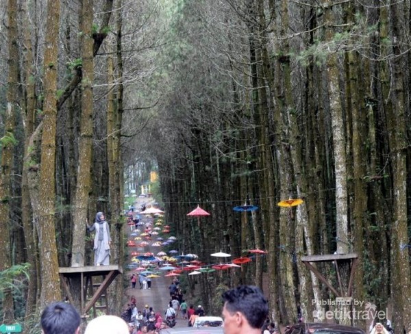 Magelang Tak Cuma Borobudur