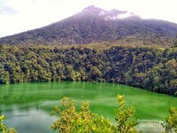 Wahh cantik dan adem kesan pertama melihat danau yang hijau pekat ini. Wahh cantik dan adem kesan pertama melihat danau yang hijau pekat ini.