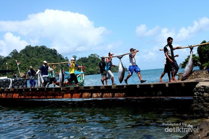 Suasana bongkar muat kapal nelayan, wah ikannya besar-besar ya?