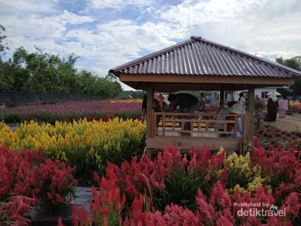 Taman Bunga Luar Negeri No Ini di Aceh Taman Bunga Luar Negeri No Ini di Aceh
