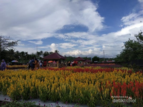  Taman  Bunga  Luar  Negeri  No Ini di  Aceh