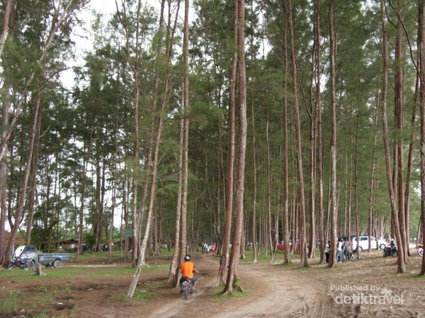 Potret Pantai Lamaru Yang Sejuk Di Balikpapan