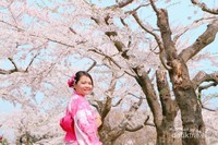 Cantiknya bunga sakura di awal bulan April. Cantiknya bunga sakura di awal bulan April.