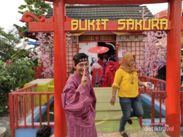 Bukan Di Jepang Ini Di Lampung