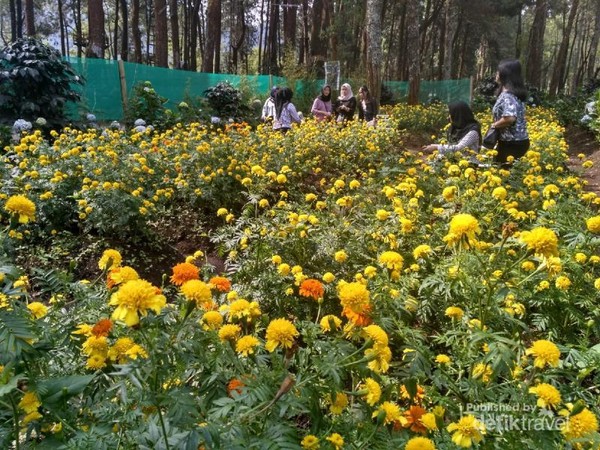 Coban Talun Tempat Wisata Komplit Di Malang Coban Talun Tempat Wisata Komplit Di Malang