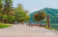 Sungai Han yang tenang dan indah di sekeliling Pulau Nami. Sungai Han yang tenang dan indah di sekeliling Pulau Nami.