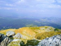 101+ Gambar Pemandangan Warna Kuning Paling Bagus 101+ Gambar Pemandangan Warna Kuning Paling Bagus