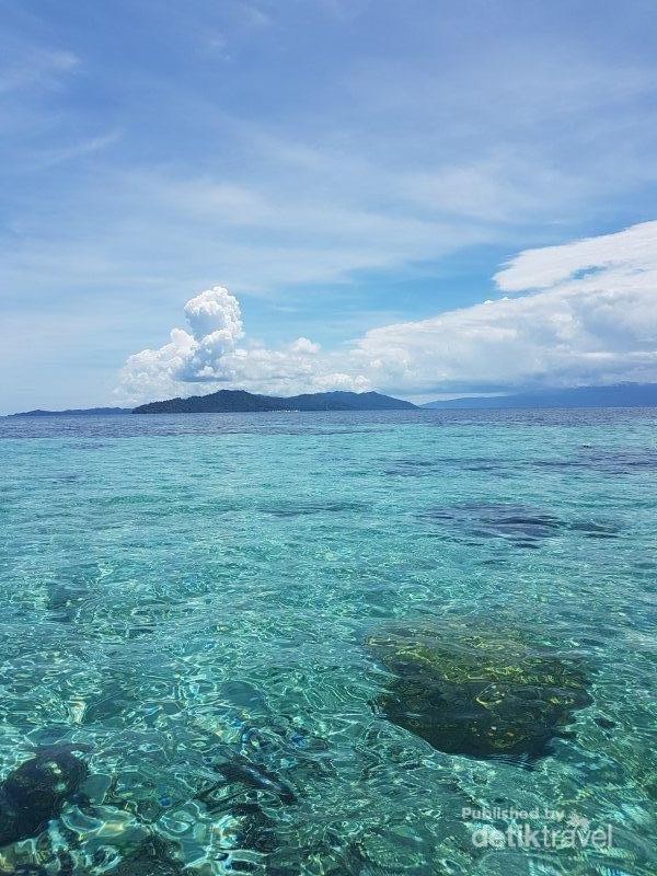Terumbu karang membayang