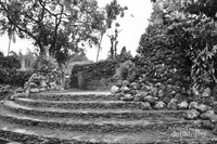 Taman Pubakala Cipari Taman Pubakala Cipari