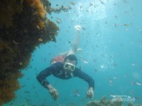 Salah satu spot Snorkeling yang ada di Dayan Homestay Salah satu spot Snorkeling yang ada di Dayan Homestay