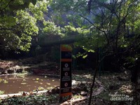 Forestwalk Babakan Siliwangi yang memiliki panjang kurang lebih dua kilometer dengan ketinggian sekitar 3-4 meter Forestwalk Babakan Siliwangi yang memiliki panjang kurang lebih dua kilometer dengan ketinggian sekitar 3-4 meter