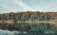 Landscape Danau Tambing Landscape Danau Tambing
