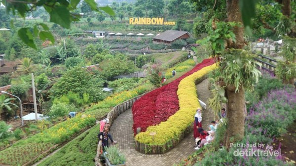 Yang Segar  dan  Indah  Dipandang di Lembang