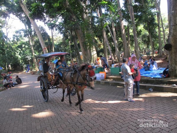 Ketemu Hewan Eksotis Di Jakarta Ini Rekomendasi Tempatnya