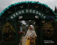 Selamat datang di Kebun Begonia Selamat datang di Kebun Begonia
