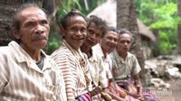 Para Pria Dewasa Dari Suku Boti Para Pria Dewasa Dari Suku Boti