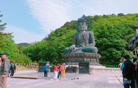 Patung Budha di Taman Nasional Gunung Soerak. Patung Budha di Taman Nasional Gunung Soerak.