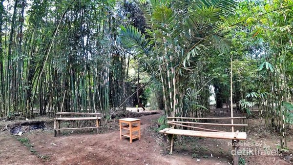  Foto  Bukan di Jepang Ini Hutan Bambu  Keren di Banyumas