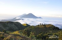 View Gunung Sindoro dan Sumbing View Gunung Sindoro dan Sumbing