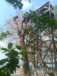 Bangunan tinggi di depan dermaga Bangunan tinggi di depan dermaga