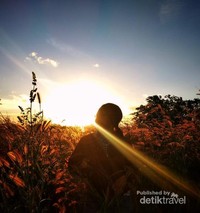 Kota Soe dijuluki Kota Membeku karena cuacanya yang lebih dingin dibandingkan kota lainnya di Pulau Timor. Tapi pesona senja di sini tetaplah sama. Kota Soe dijuluki Kota Membeku karena cuacanya yang lebih dingin dibandingkan kota lainnya di Pulau Timor. Tapi pesona senja di sini tetaplah sama.