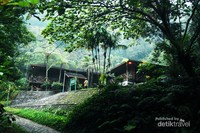 Stasiun penelitian Cikaniki yang berada di jantung hutan hujan tropis Taman Nasional Gunung Halimun Salak (TNGHS), Jawa Barat Stasiun penelitian Cikaniki yang berada di jantung hutan hujan tropis Taman Nasional Gunung Halimun Salak (TNGHS), Jawa Barat