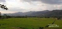 Suasana hijau di Kampung Karakan Wonogiri Suasana hijau di Kampung Karakan Wonogiri