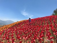 Kitiran atau baling-baling warna merah dan kuning. Kitiran atau baling-baling warna merah dan kuning.