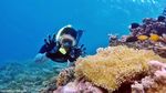 Surga Snorkling Ini Bernama Balablakang