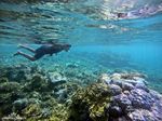 Surga Snorkling Ini Bernama Balablakang