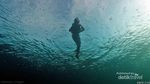Surga Snorkling Ini Bernama Balablakang