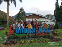 Gunung Mas Tea Hills Gunung Mas Tea Hills