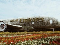 Dubai Miracle Garden yang penuh akan replika yang di buat dengan kumpulan bunga-bunga. Dubai Miracle Garden yang penuh akan replika yang di buat dengan kumpulan bunga-bunga.
