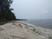 Kombinasi warna hijau cemara, putih pasir, hitam air laut dan langit kelabu. Kombinasi warna hijau cemara, putih pasir, hitam air laut dan langit kelabu.