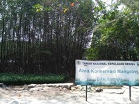 Vegetasi bakau, ekosistem ini memiliki potensi penyerapan karbon dari udara lima kali lebih besar dibanding hutan. Dengan besarnya manfaat bakau, ayo kita reboisasi wilayah pesisir Indonesia dengan tanaman ini agar bumi tidak lagi panas dan Indonesia berhasil melaksanakan mitigasi perubahan iklim sesuai kesepakatan di Paris Vegetasi bakau, ekosistem ini memiliki potensi penyerapan karbon dari udara lima kali lebih besar dibanding hutan. Dengan besarnya manfaat bakau, ayo kita reboisasi wilayah pesisir Indonesia dengan tanaman ini agar bumi tidak lagi panas dan Indonesia berhasil melaksanakan mitigasi perubahan iklim sesuai kesepakatan di Paris
