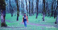 Saat musim hujan tiba suasana di sini begitu adem dan indah Saat musim hujan tiba suasana di sini begitu adem dan indah