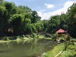 Boonpring, Ekowisata nan Asyik di Malang