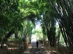 Boonpring, Ekowisata nan Asyik di Malang