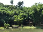 Boonpring, Ekowisata nan Asyik di Malang