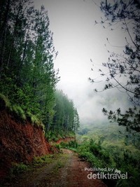 Kabut awan di Gayo Kabut awan di Gayo