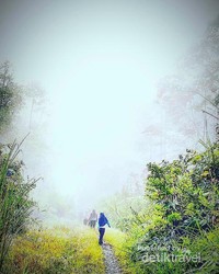 Awan menjadi teman dan.pesona wisata jalan kaki di Gayo Awan menjadi teman dan.pesona wisata jalan kaki di Gayo