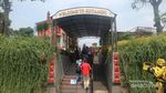 Gemasnya, Main Bersama Kucing Persia di Floating Market