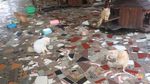 Gemasnya, Main Bersama Kucing Persia di Floating Market