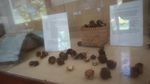 Mengenal Dunia Perkebunan di Museum? Bisa Kok
