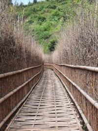 satu spot ini terdapat di paling belakang, dibuat menyerupai kebun bambu Arashiyama satu spot ini terdapat di paling belakang, dibuat menyerupai kebun bambu Arashiyama