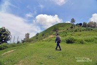 Bentang alam yang berupa rerumputan hijau mirip di Indonesia Timur. Bentang alam yang berupa rerumputan hijau mirip di Indonesia Timur.
