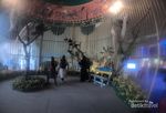 Bukan Kebun Binatang, Ini Adalah Museum Satwa di Kota Batu 