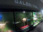 Bukan Kebun Binatang, Ini Adalah Museum Satwa di Kota Batu 