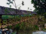 Sore yang Teduh di Kampung Jogjogan, Bogor
